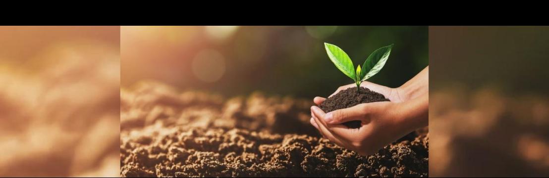 NAQ Global Green Technology