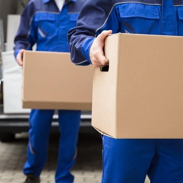 Professional Moving  Services