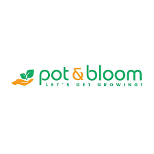 Pot And Bloom