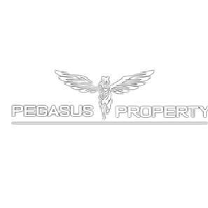 Pegasus Property