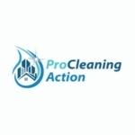Pro Cleaning Action  LLC